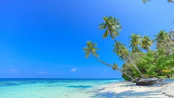 Plage à proximité