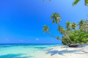 Une plage à l’eau turquoise et limpide, bordée de palmiers et d’un rivage sablonneux.
