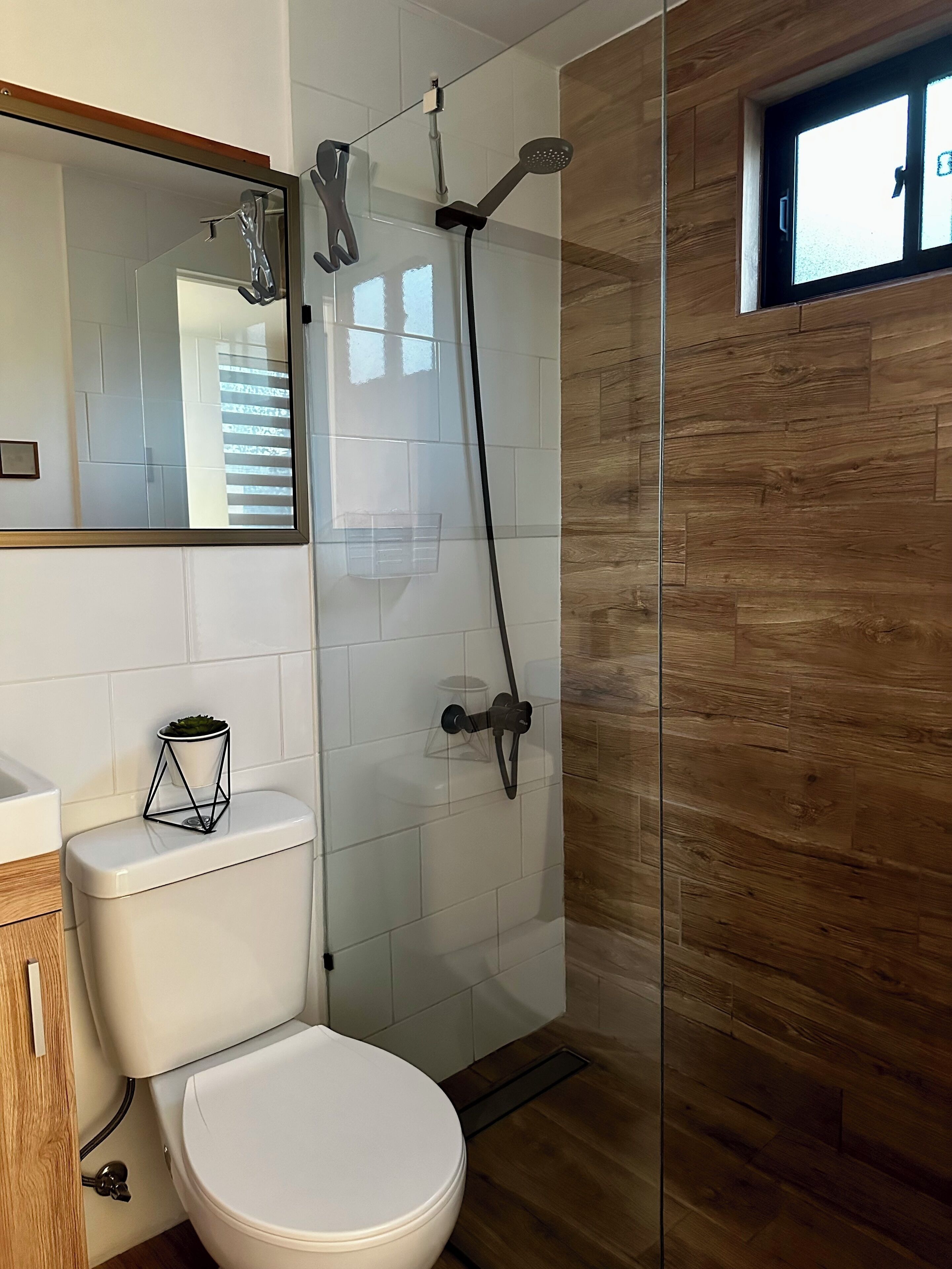 Shower, hair dryer, soap, toilet paper