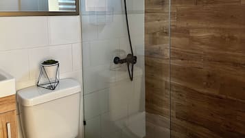 Shower, hair dryer, soap, toilet paper