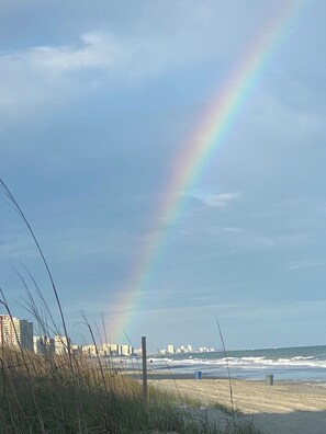 On the beach, sun-loungers - Southern Grace 2br oceanfront condo, pets ok (North Myrtle Beach)