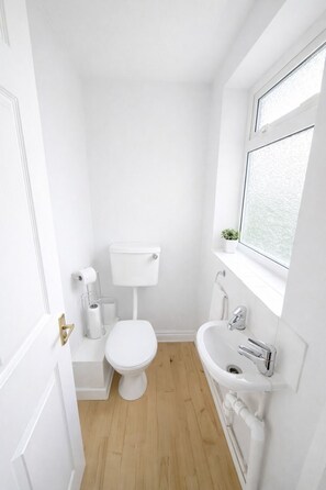 Hair dryer, towels, toilet paper