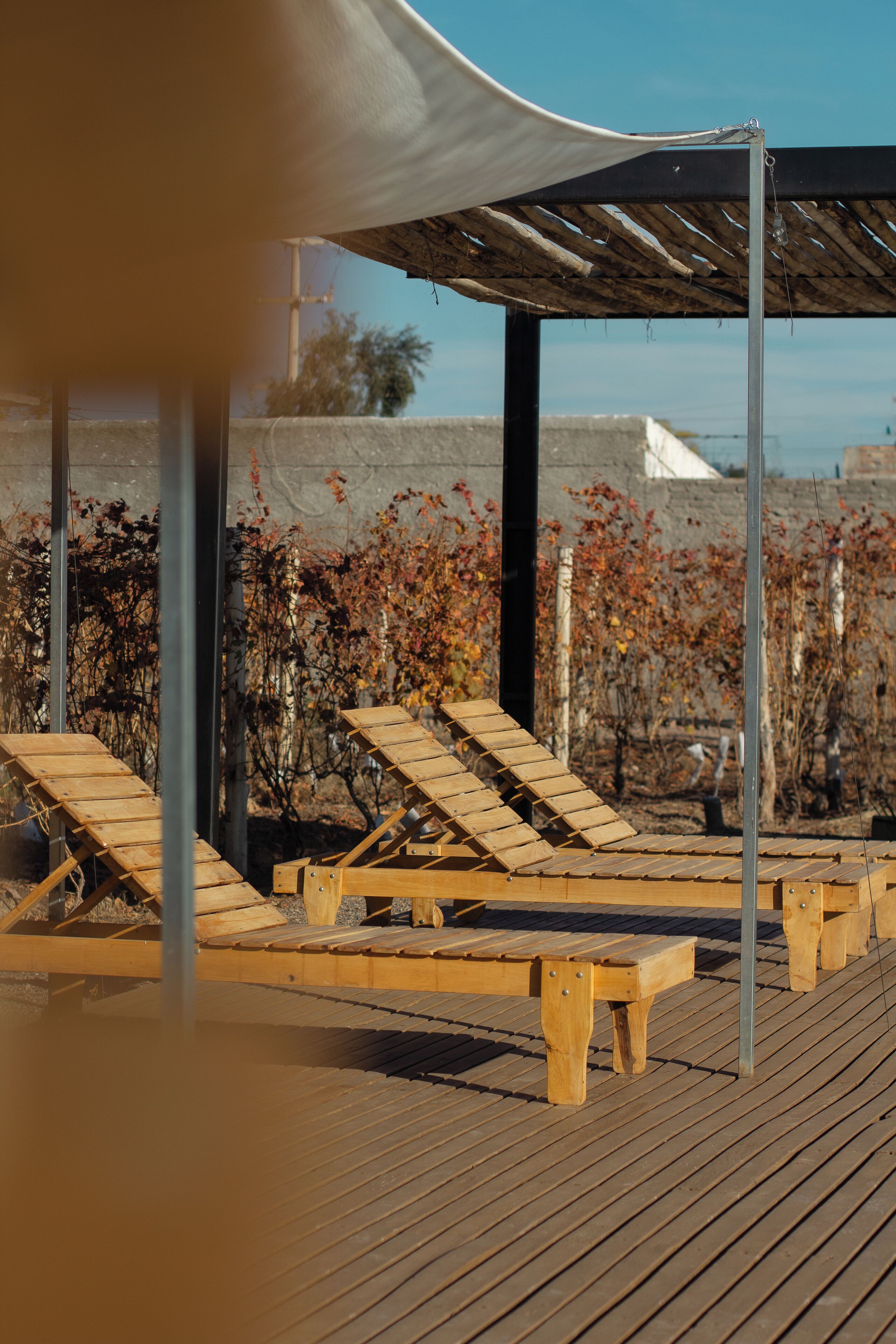 Àrea exterior de l'allotjament