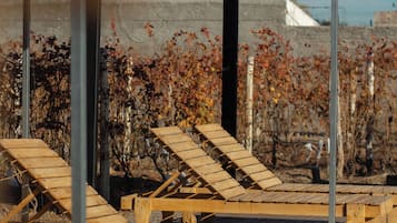 Àrea exterior de l'allotjament