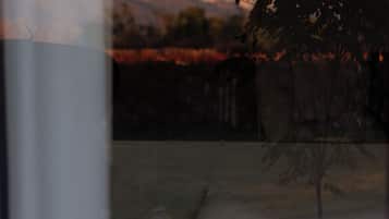 Studio, Mountain View | Interior