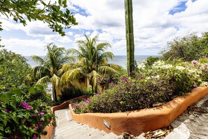 A garden with a variety of plants and flowers, a tall cactus, and a view of the ocean. - Casa Sueño - Beautiful Ocean Front Home in Rancho Santana! (Rancho Santana)