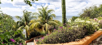 Casa Sueño - Beautiful Ocean Front Home in Rancho Santana!