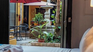 Interior - Stay in Four Bright Double Rooms Steps from Shops, Dining, & Merida Attractions (Mérida)