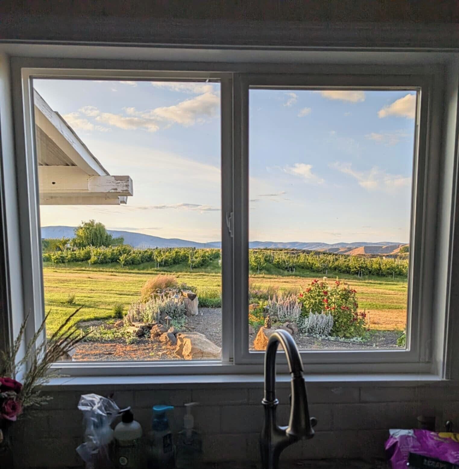 View from kitchen window