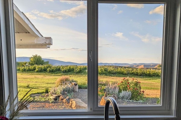 View from kitchen window