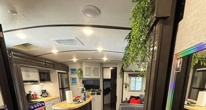 The Toasted Marshmallow