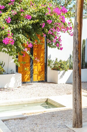 Property grounds - 5 - Just 5 min from the beach in a quiet area in Tamarindo, perfect for family. (Tamarindo)