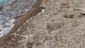 Una platja de petits cabassuts amb aigua turquesa cristal·lina i una costa rocosa allunyada.