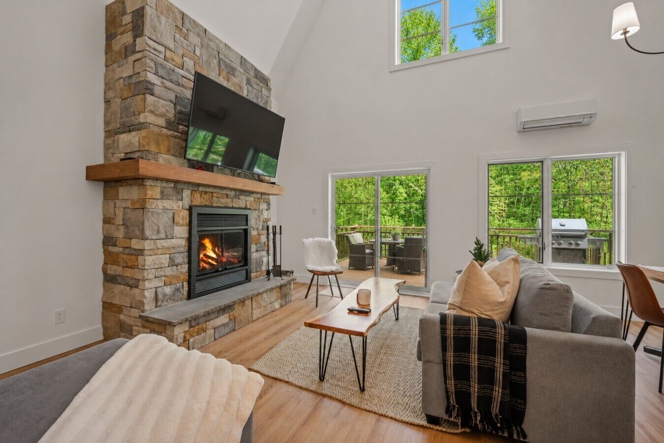 TV, fireplace