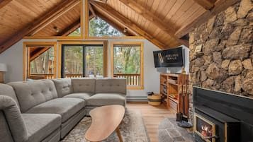 Télévision, cheminée, chaßne hi-fi