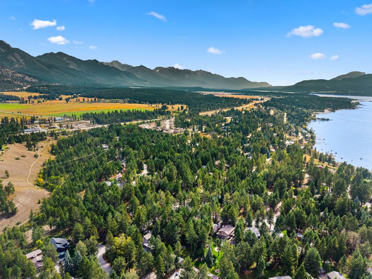 An aerial view of a forested area with a lake, mountains in the background, and scattered buildings.