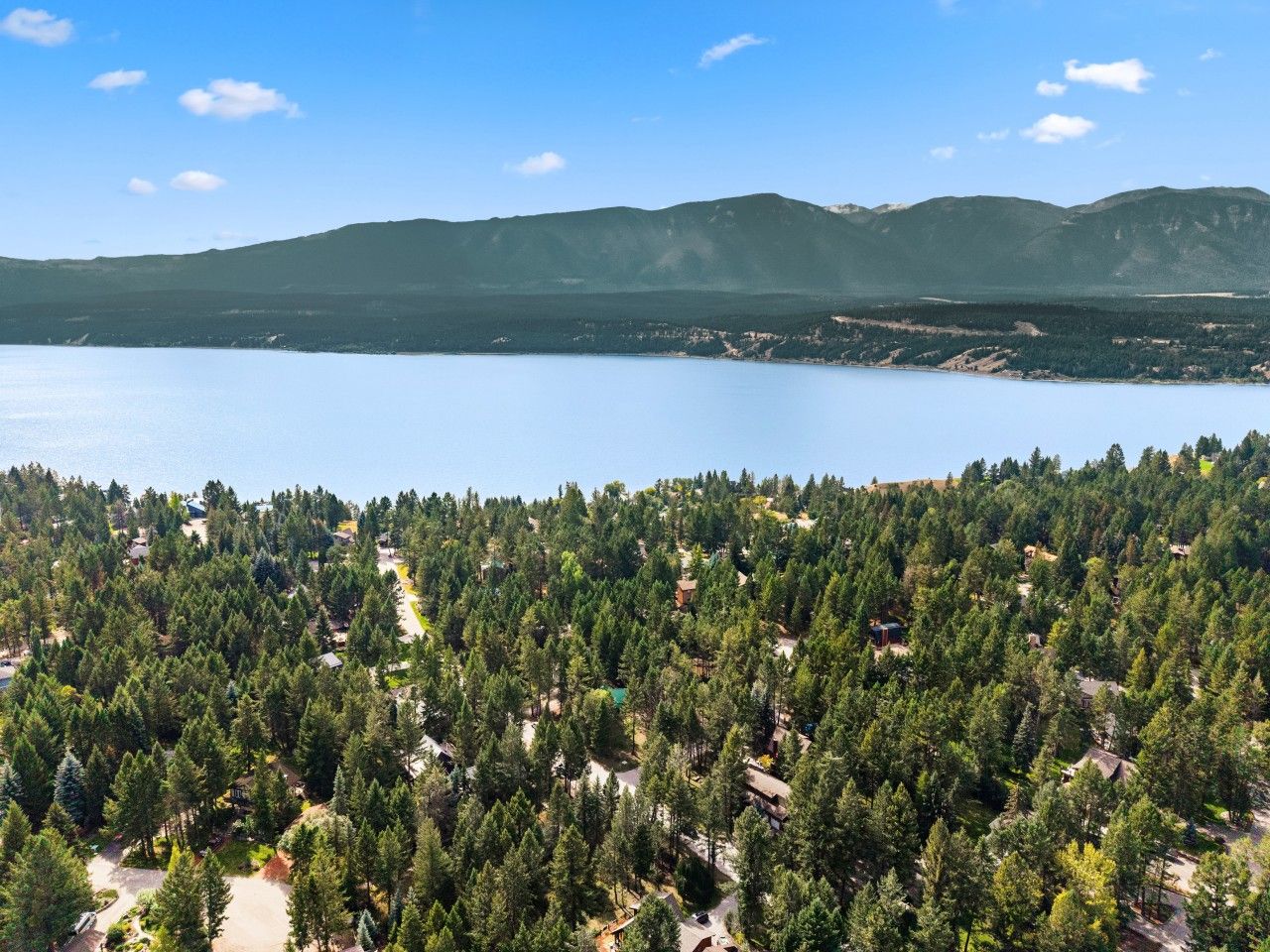 A forested area with a lake and mountains in the background.
