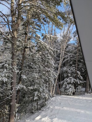 Property grounds - Newly Renovated 3 BRD, 2 BA chalet on 50 acres.  Easy access to Loon Lake/Gore (Chestertown)