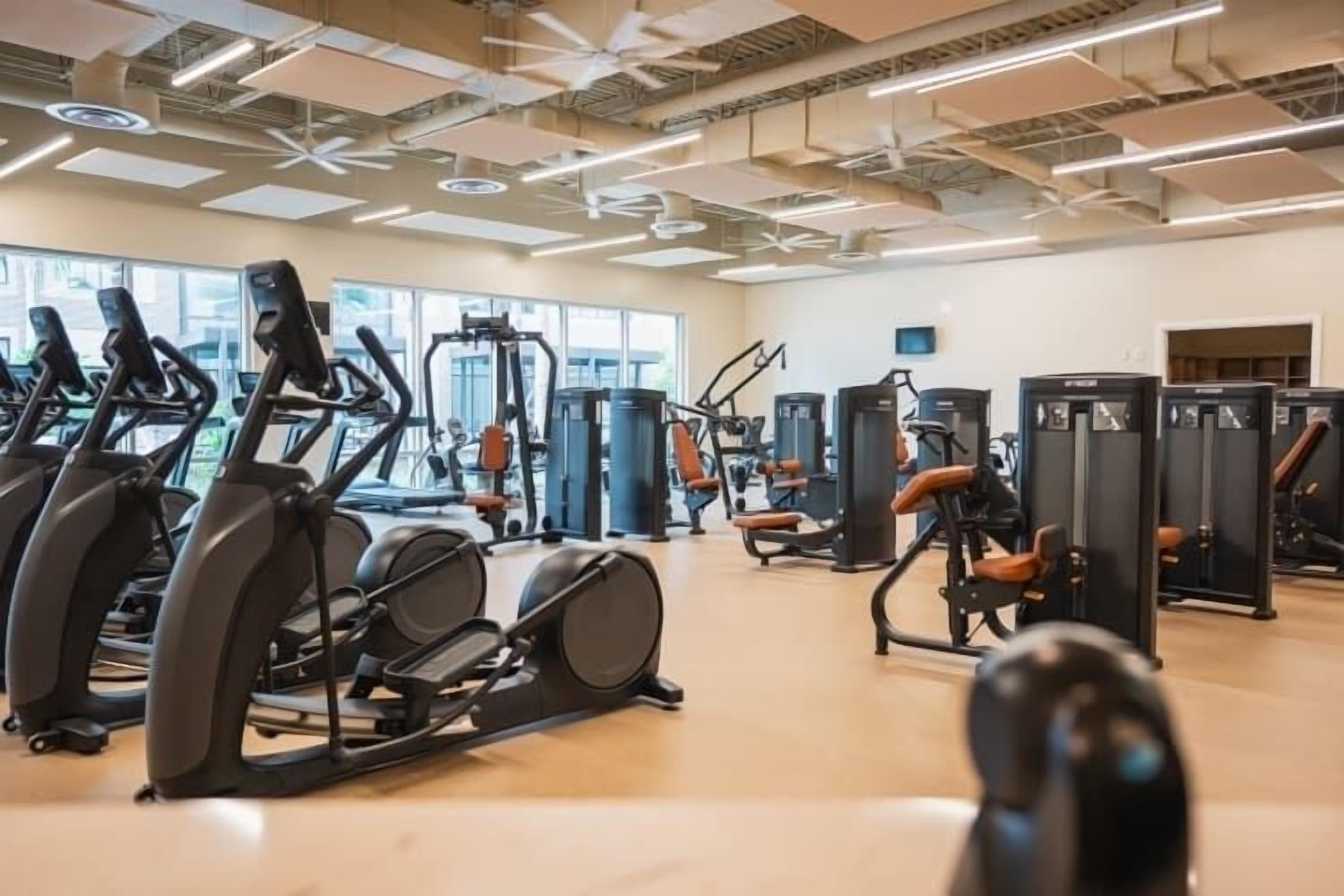A gym with treadmills, weight machines, and free weights.