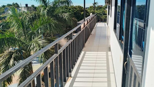 A balcony with a view of palm trees and a clear sky. - Hotel Volga (Puerto Lopez)
