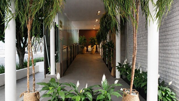 Un couloir orné de plantes en pot et de colonnes.