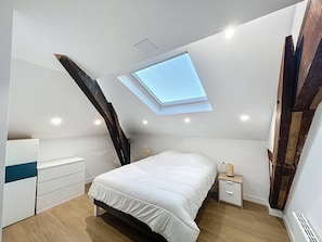 1 bedroom - Petit Cocon sous les toits au centre de  Biarritz (BIARRITZ)