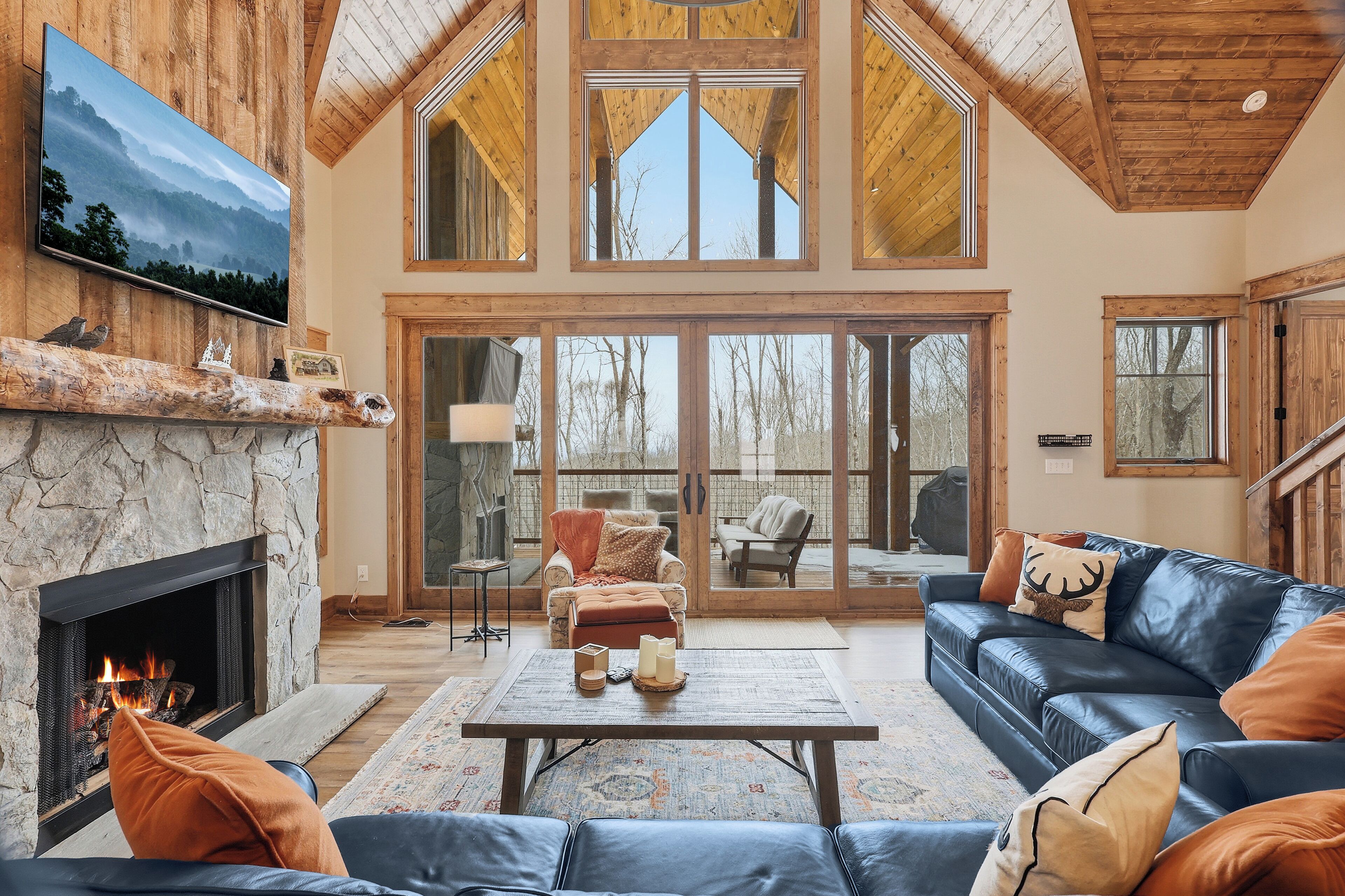 電視、壁爐、書籍