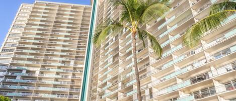 A high-rise hotel with multiple balconies, a palm tree, and a clear blue sky.