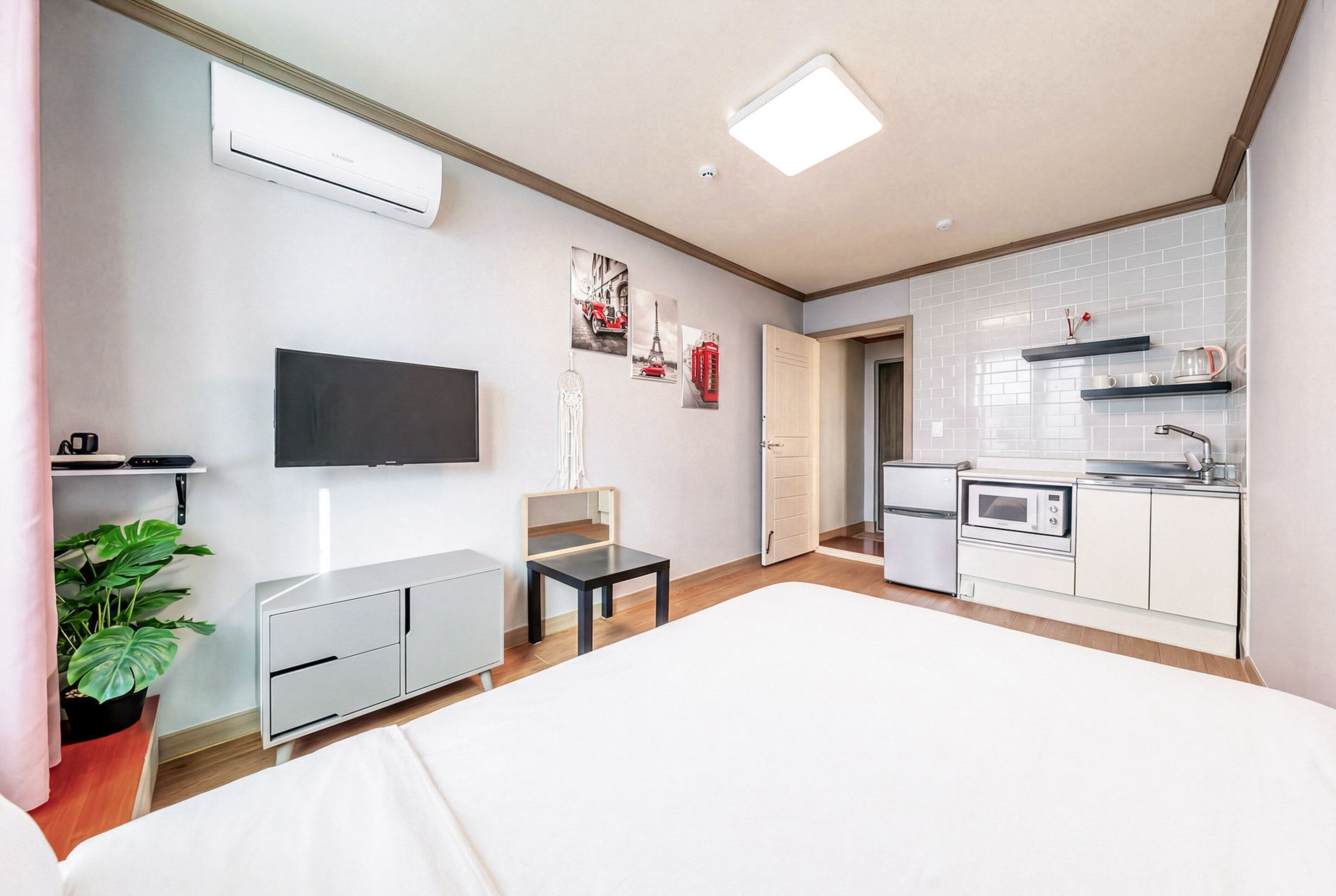 Habitación de hotel moderna con cama, televisión, pequeña mesa, planta, kitchenette y baño.