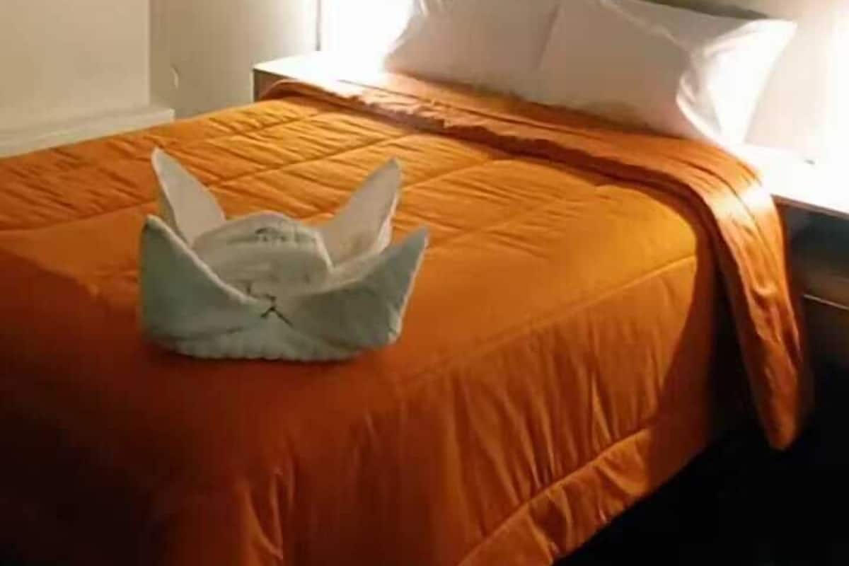 Standard Double Room, City View | Terrace/patio