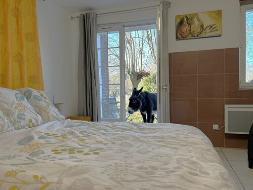 Charming and very large rural studio design and absolute calm 4000 M2 park