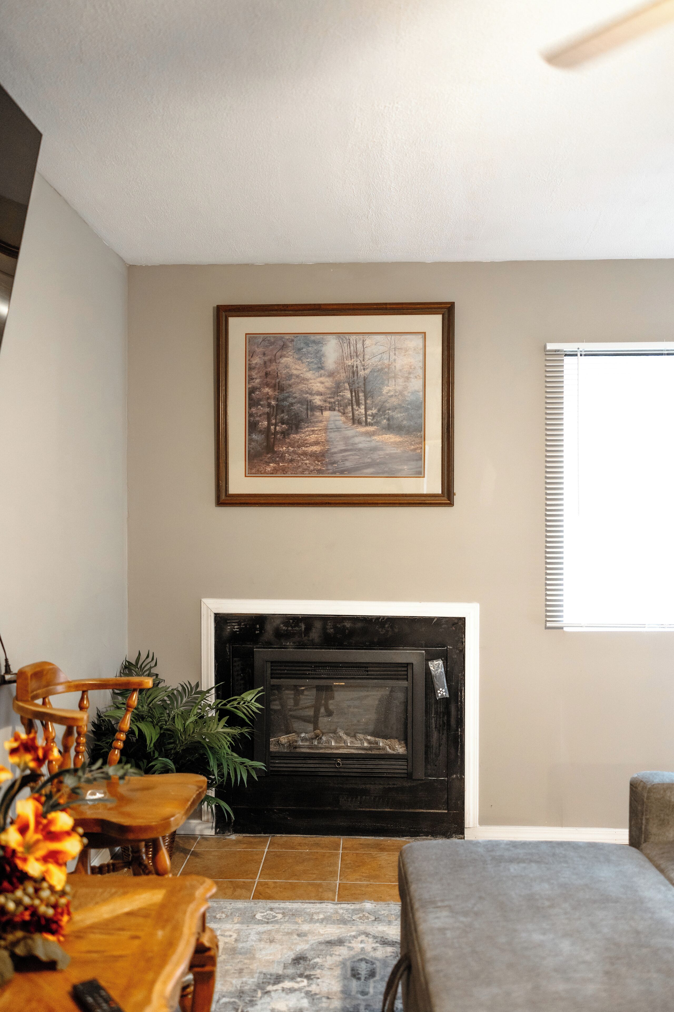 Una televisión, una chimenea