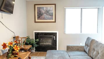 TV, fireplace