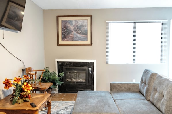 TV, fireplace