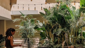 Uma sala de jantar com mesa de madeira, cadeiras vermelhas e plantas em vasos.