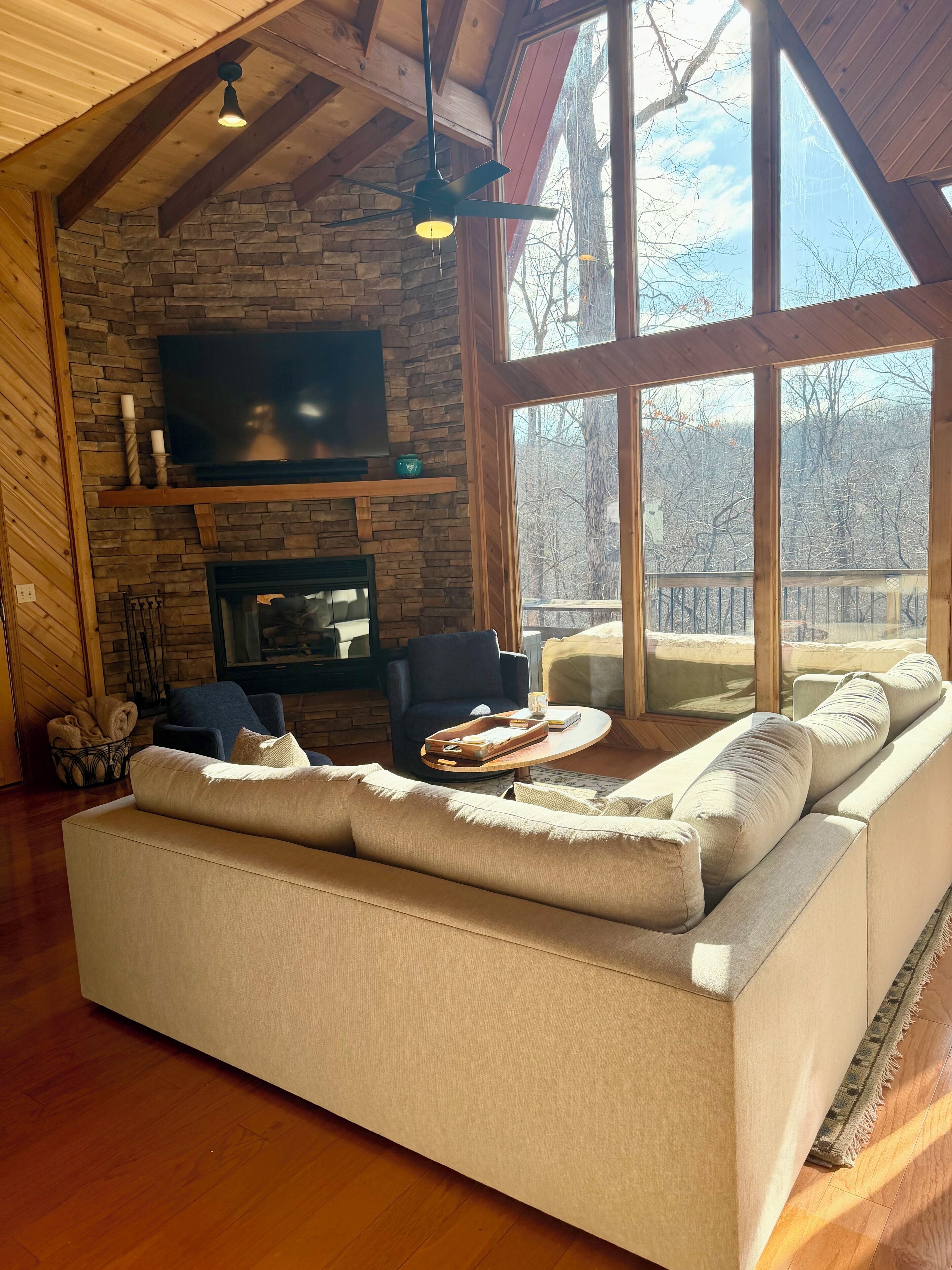 TV, fireplace