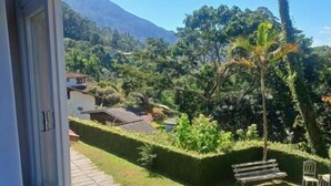 Une vue depuis une fenêtre donnant sur un jardin bien entretenu, avec un chemin pavé, un banc et un palmier.