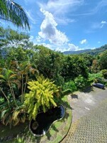 Ăreas de la propiedad