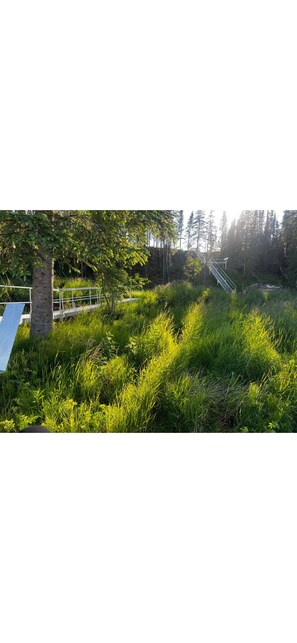 Property grounds - Kenai Riverfront RV Camping & World Class Fishing. (Soldotna)