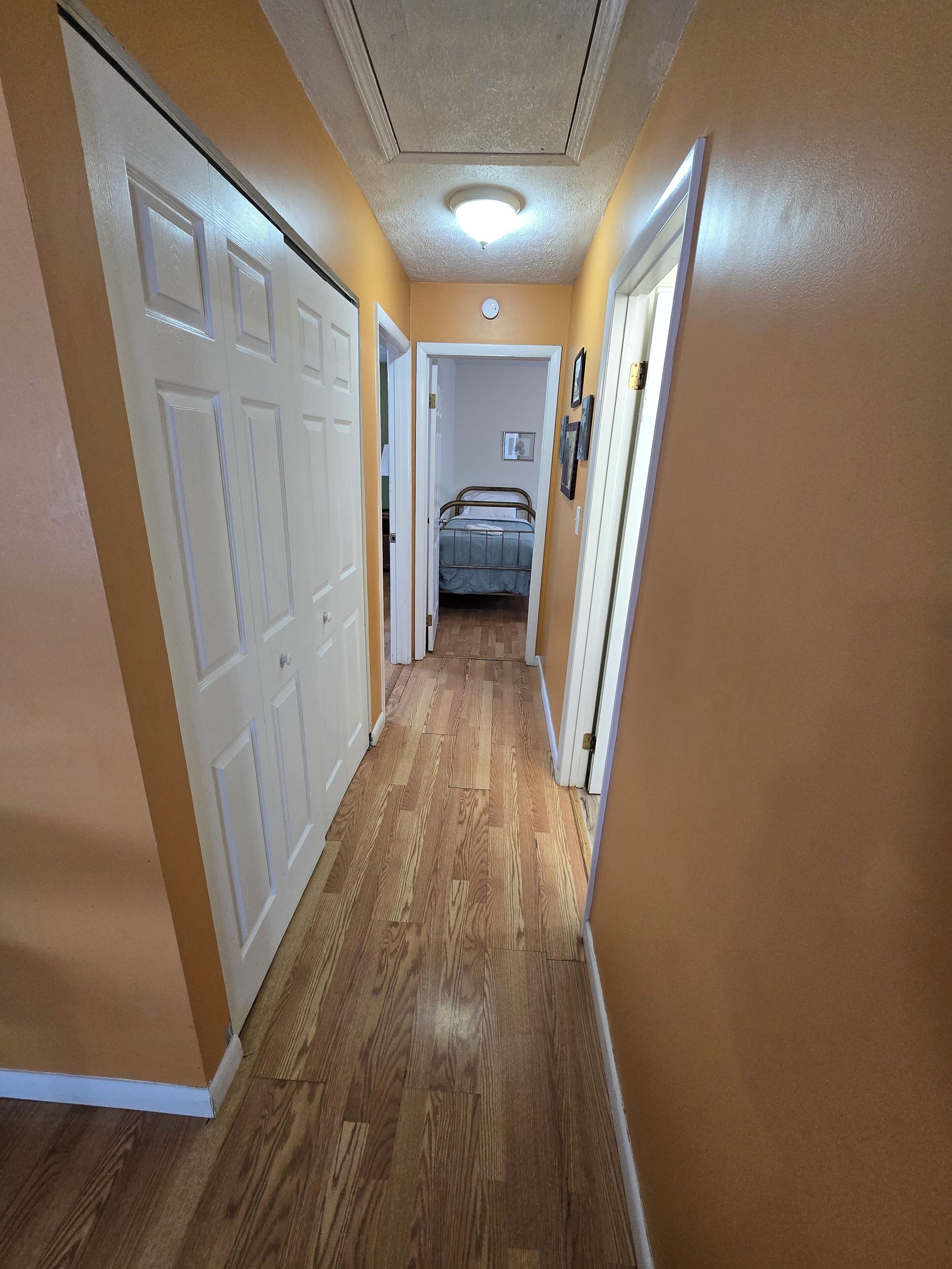 Un pasillo estrecho con suelo de madera, puertas blancas y una cama al fondo.