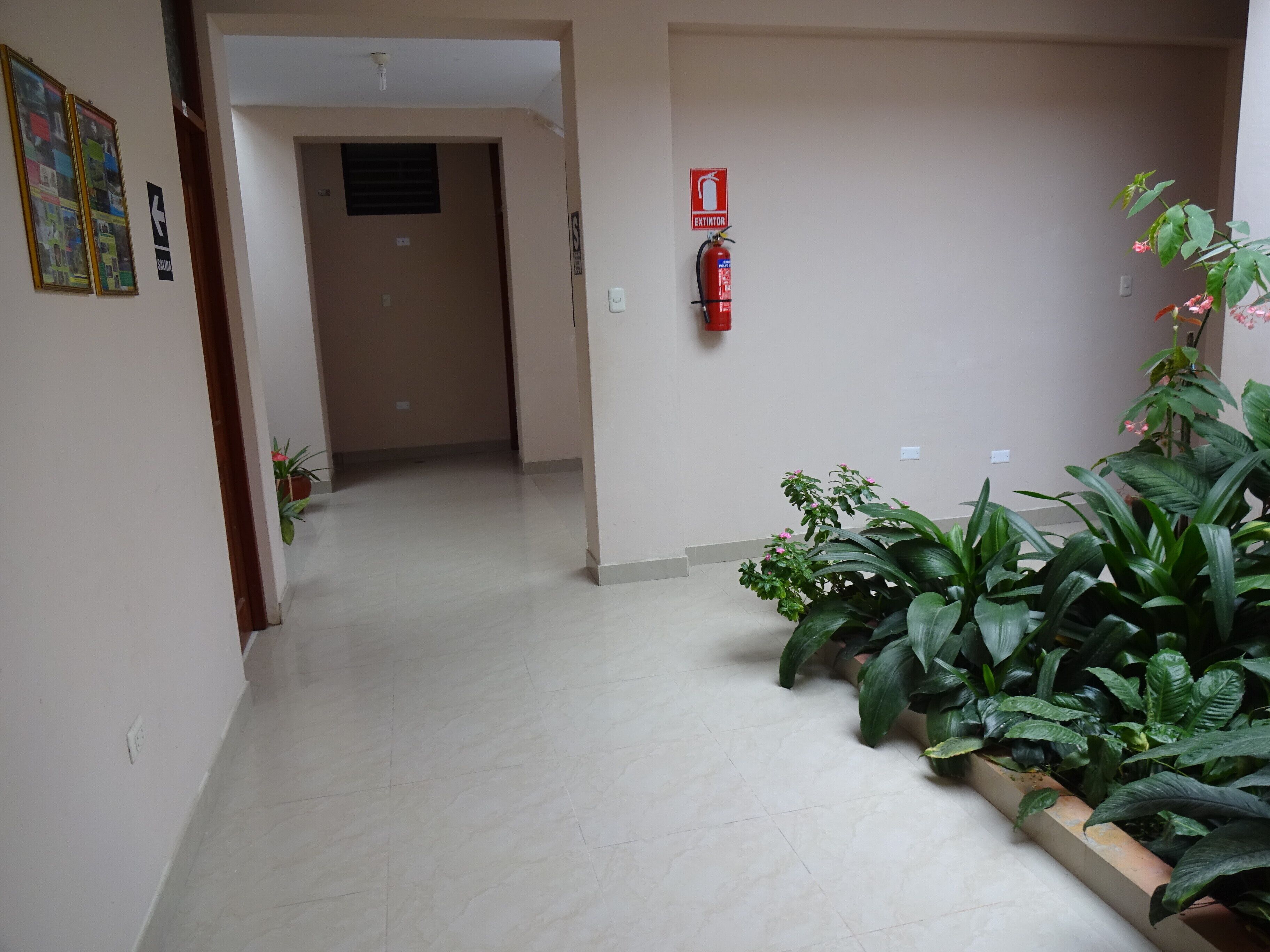 Rom – standard, hageutsikt | Innvendig