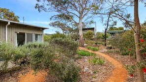 A residential area with a dirt path, vegetation, and a house with a lattice window.