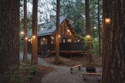 Little wolf cabin King bed dog friendly Mt Baker