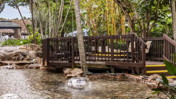 Un espacio exterior tranquilo con un puente de madera sobre un estanque pequeño, rodeado de abundante vegetación y una cascada.