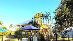A swimming pool with two lounge chairs and a blue umbrella, surrounded by a fence and palm trees. - Getaway beach house, Downstairs unit (Fort Myers Beach)