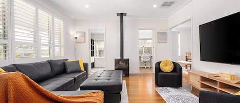 TV, fireplace, ping pong