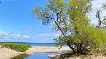 Uma praia com águas calmas, areal arenoso e vegetação verde.