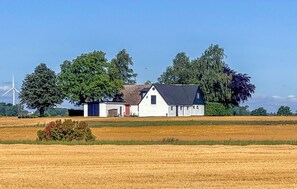 Exterior - 3 bedroom cozy home in Hammenhög (Hammenhög)