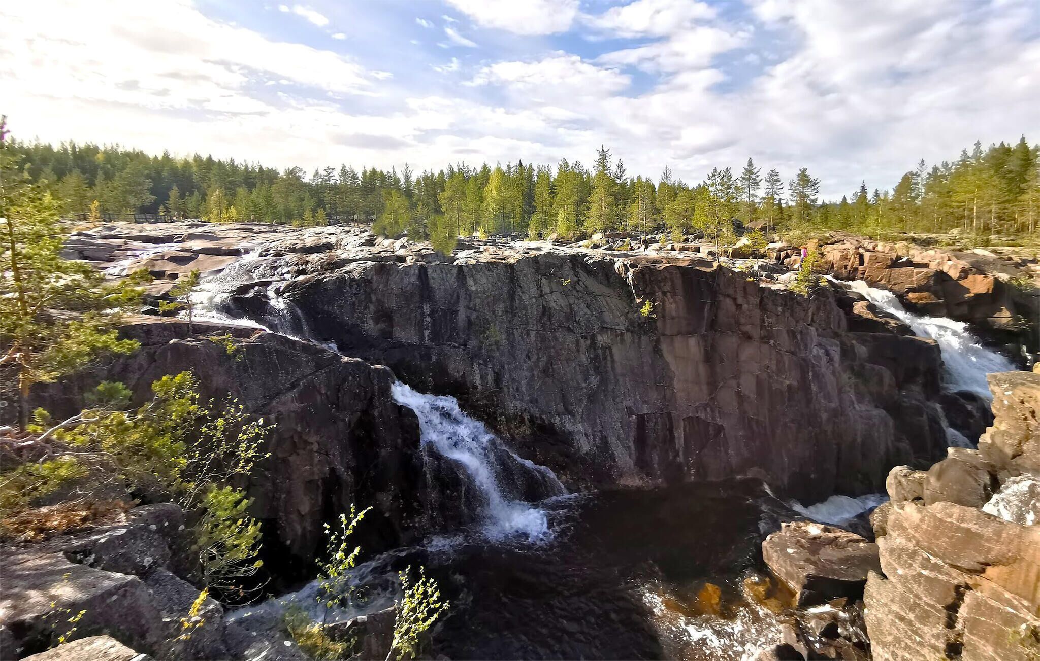 Paisaje natural con una cascada, rodeado de un bosque denso.