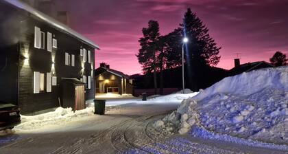 Schöne 1-Zimmer-Wohnung in Kåbdalis